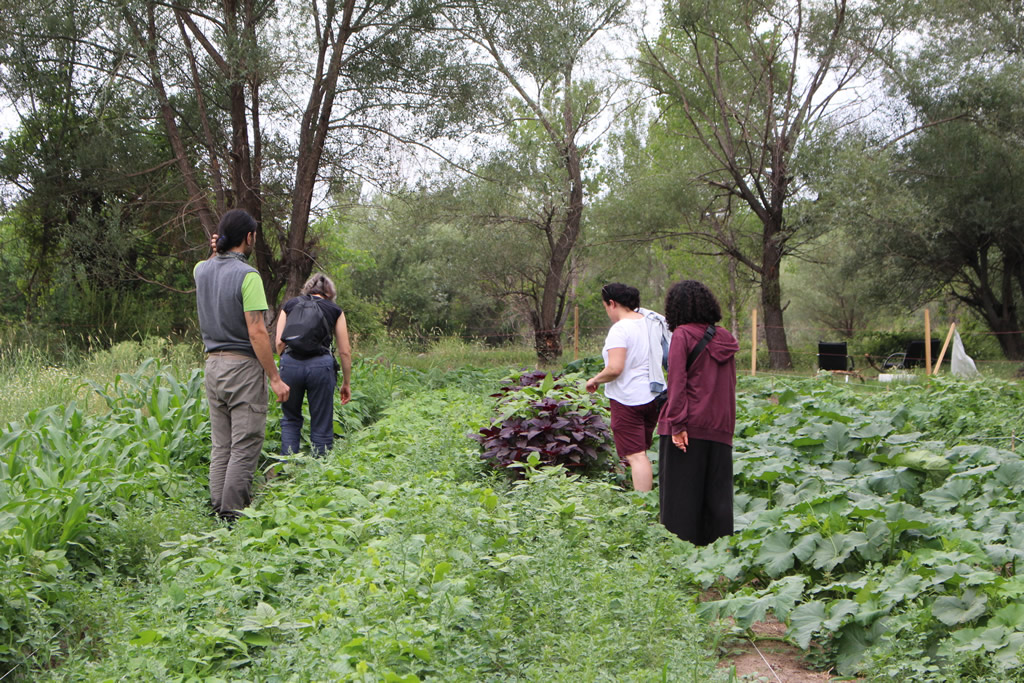 Köyden haberler ve “Dayanıklı Gıda Sistemleri Oluşturmak” projesi